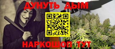 крисы Гатчина