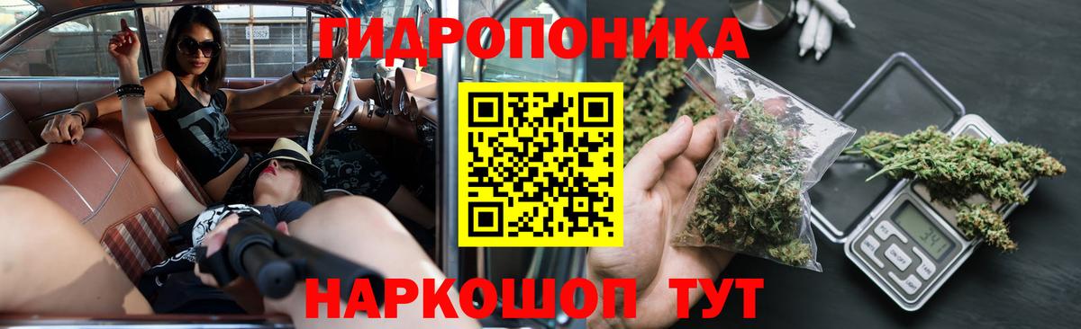 Бошки марихуана Bruce Banner  Канабис OG Kush  Балахна  Марихуана план  Вход с VPN 